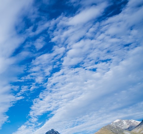粉象生活怎么赚钱的