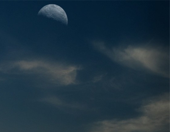 粉象生活app