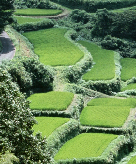 自贡好生活直播间