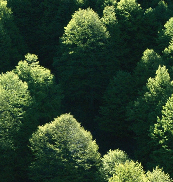 威海粉象生活收费
