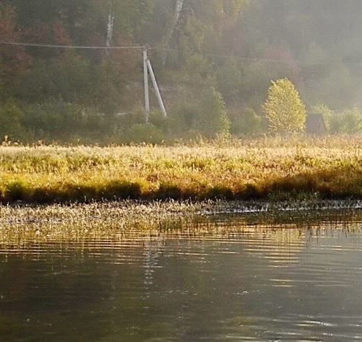 粉象生活怎么赚钱的