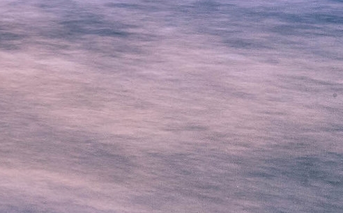 粉象生活下载app