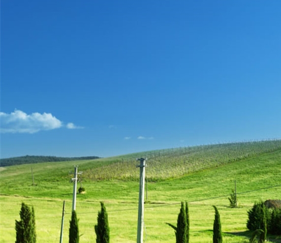 粉象生活怎么赚钱的