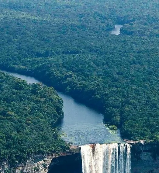 湖北粉象生活收入