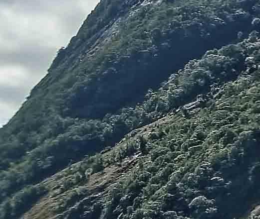 上海高端粉象生活软件