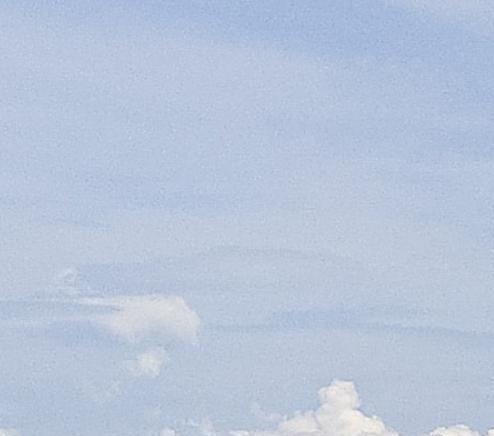 粉象生活行业分析