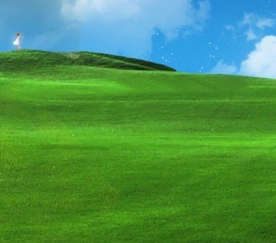 广州到浙江金华物流