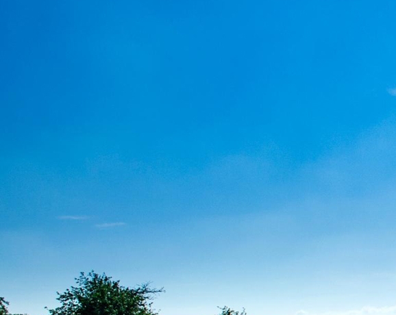 佛山粉象生活没有天天零元购怎么回事