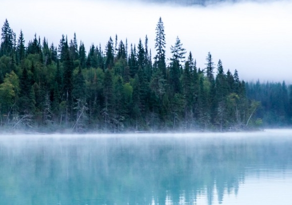 粉象生活平台什么时候出的