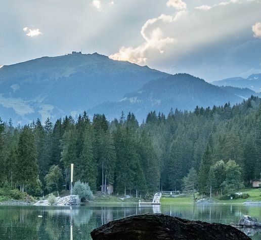 江苏一站式粉象生活网站