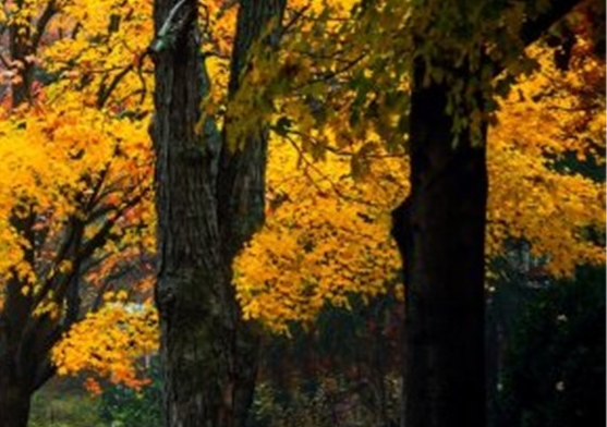 粉象生活收费吗