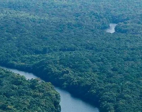 广东粉象生活合伙人