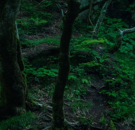 惠州粉象生活如何使用