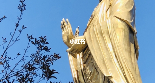 中山粉象生活使用教程