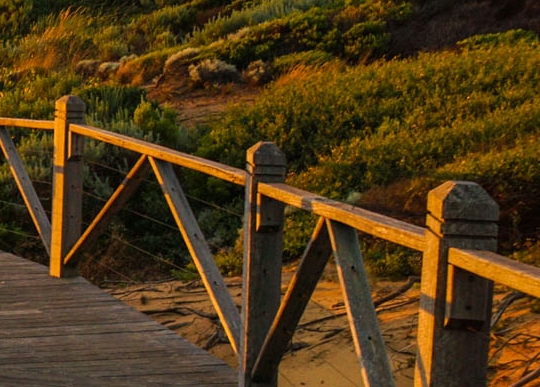 粉象生活可以赚钱吗