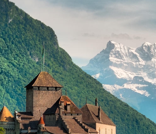 深圳粉象生活赚钱