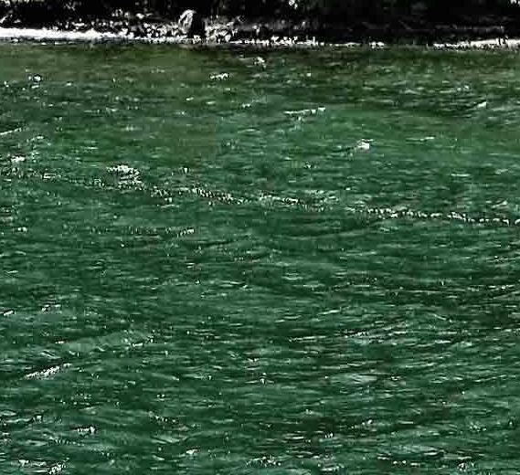 粉象生活挣钱渠道