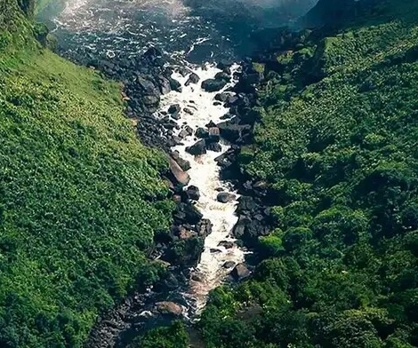 粉象生活怎样填写邀请码