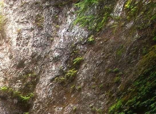 粉象生活能赚到钱吗