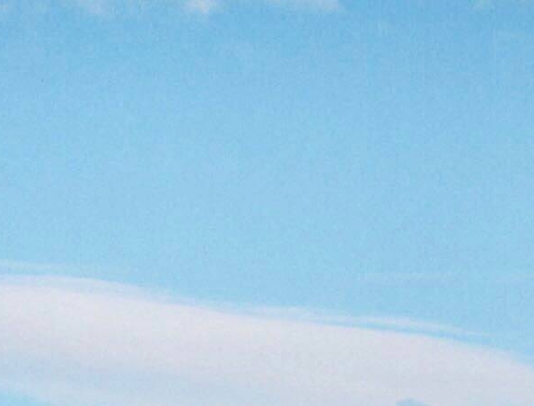 粉象生活邀请码