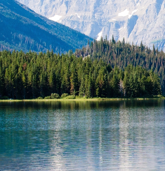 粉象生活如何推广