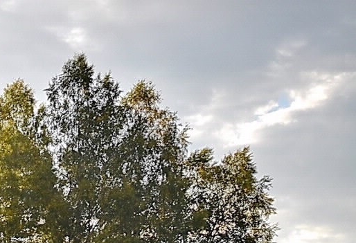 粉象生活里的东西能买吗