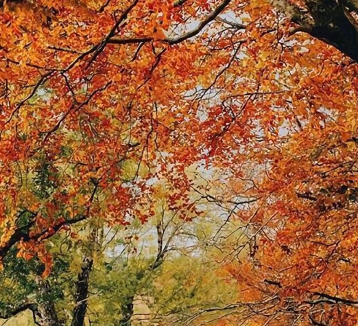 城市码头和粉象生活哪个好