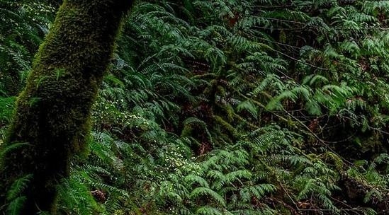 安徽农村生活图片