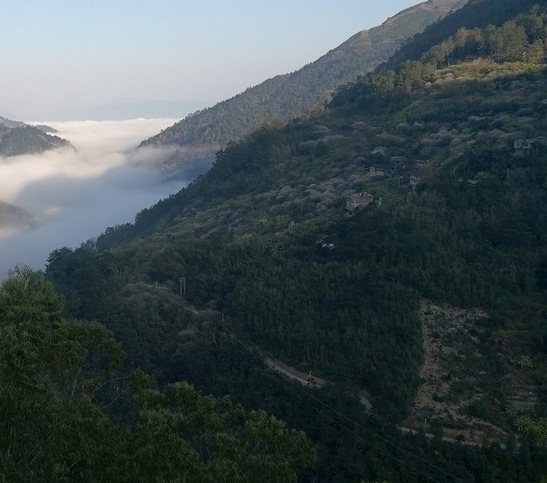 粉象生活总部电话多少