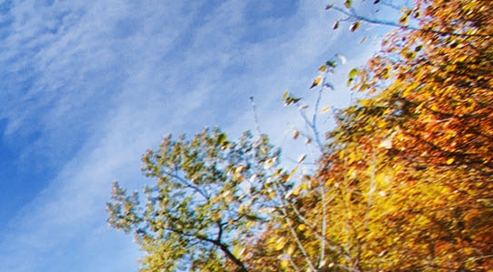 粉象生活是真的假的