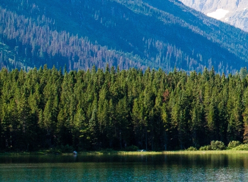 佛山粉象生活加盟代理