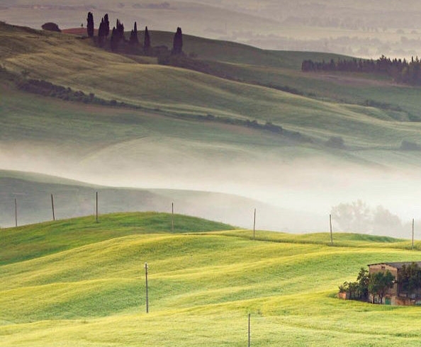 揭阳粉象生活积分