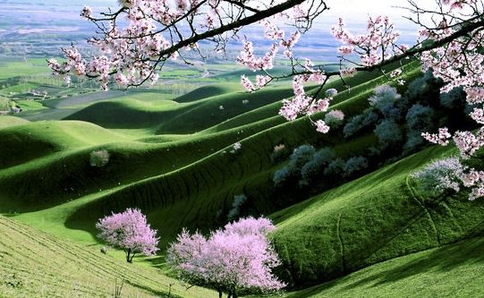 粉象生活是东西好不好