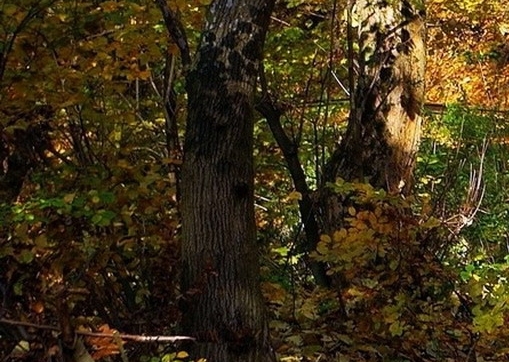 酒泉粉象生活加盟