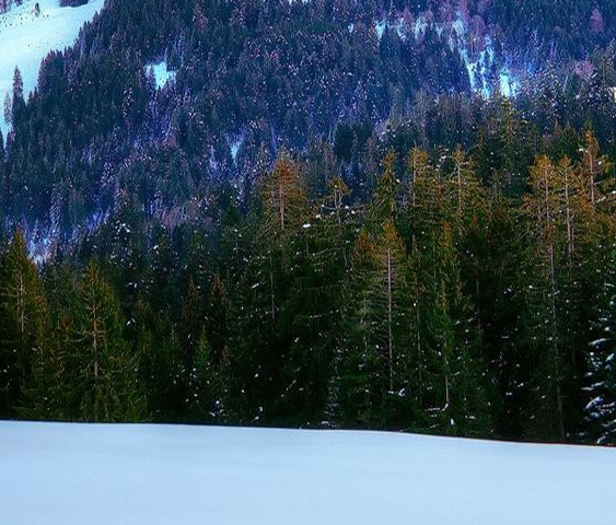 宁波正规粉象生活市场前景