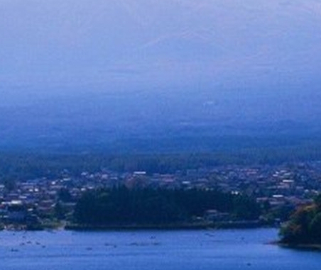 新西兰粉象生活怎么做