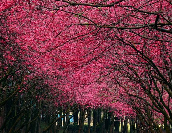 粉象生活副业攻略