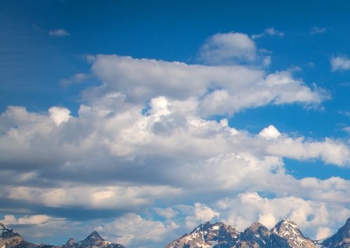 粉象生活和爱客宝有什么区别