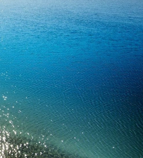 粉象生活总代理