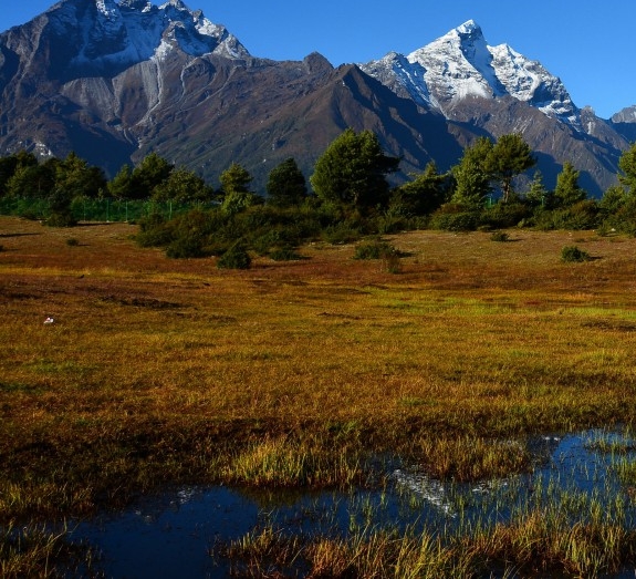 怎么去新西兰生活