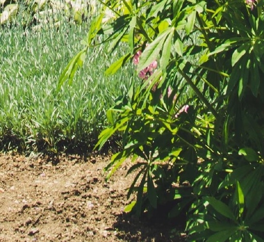 超级淘提现提示确认收货