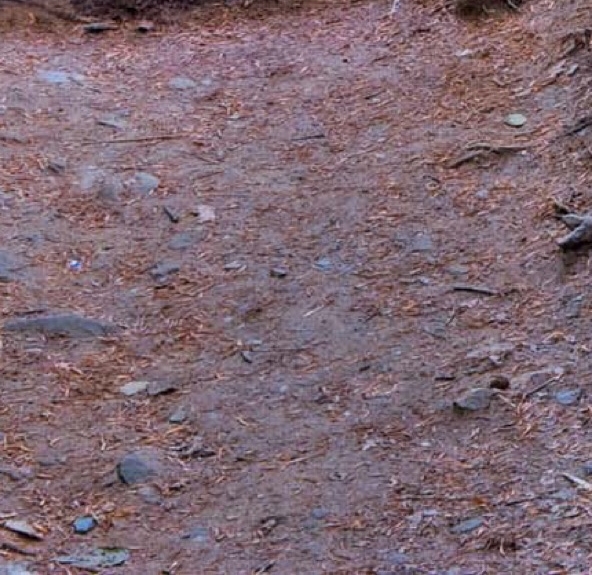 粉象生活注销中