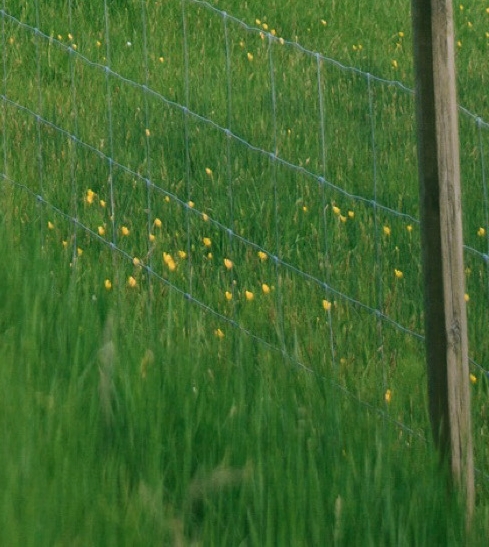 山东临沂粉象生活