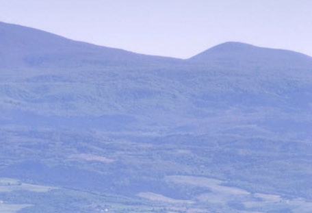 粉象生活怎么快速升级会员