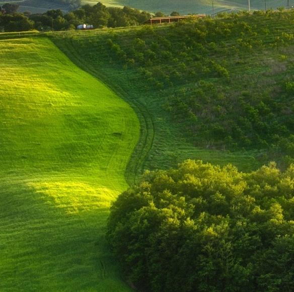粉象生活399升级会员