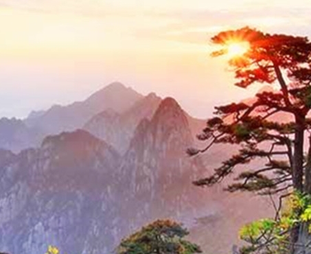 粉象生活可以赚钱吗