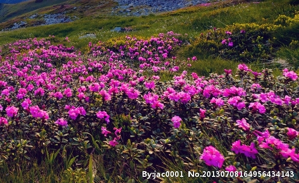 粉象生活买东西怎么退货