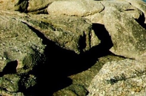 广州粉象生活科技有限公司