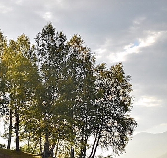 粉象生活可以赚钱吗