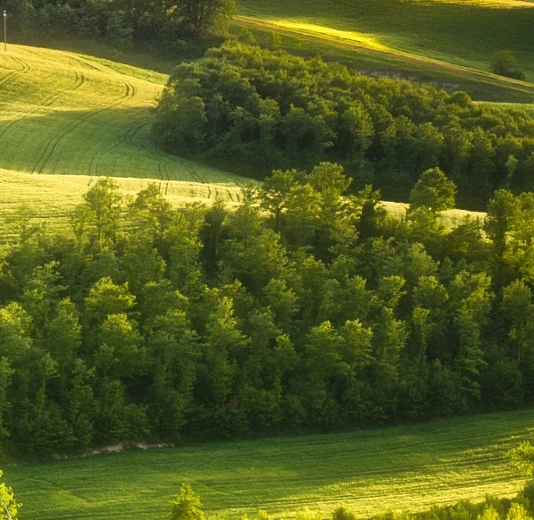 粉象生活怎么快速推广